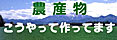農産物こうやって作ってます